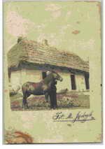 Kliknij aby powiekszyć